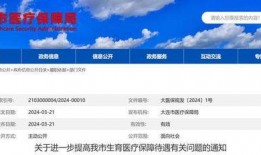 保险爆料最新消息,最新动态揭示行业变革与风险挑战